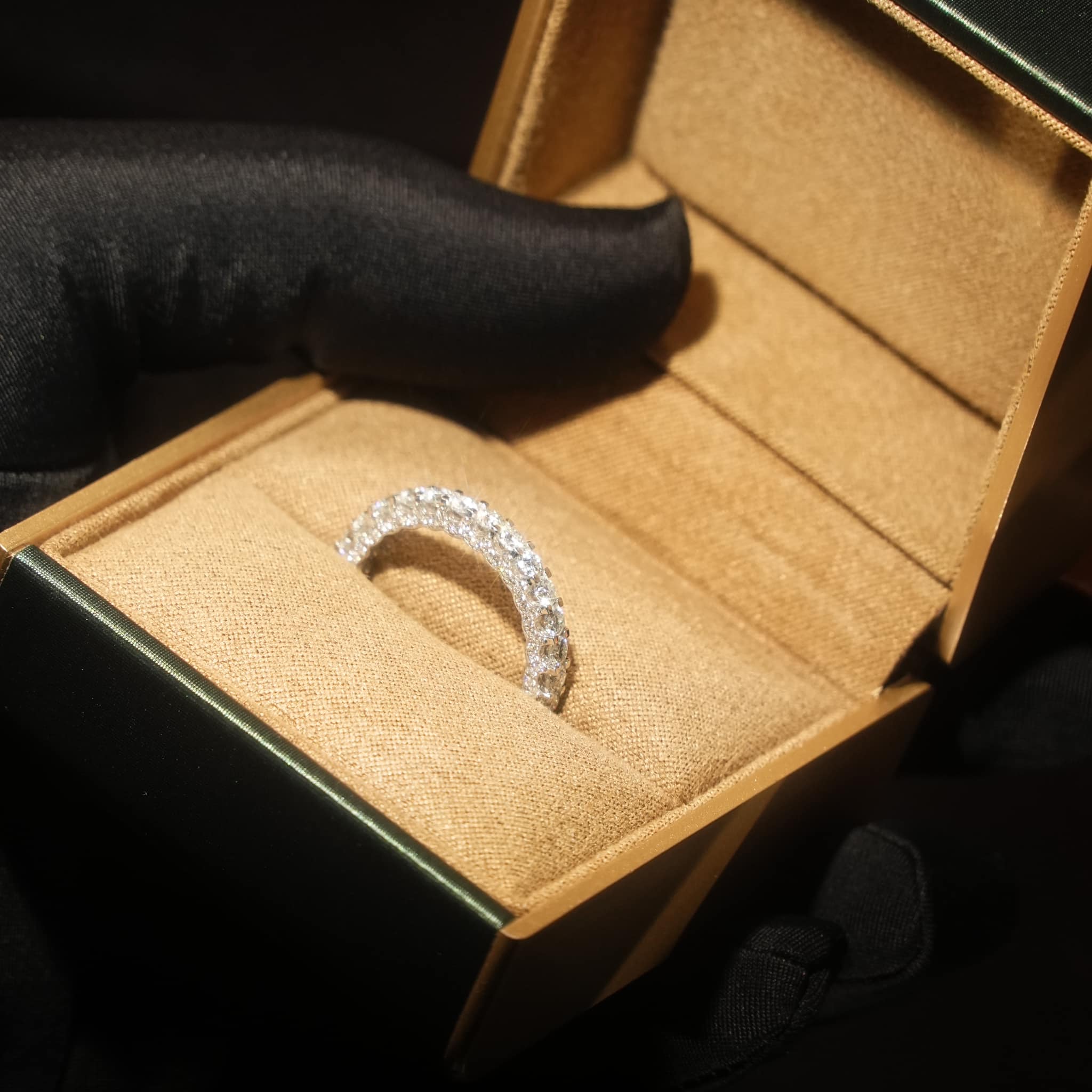 おすすめのコレクション